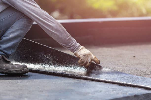 Professional Basement Waterproofing technician working in Petros, TN